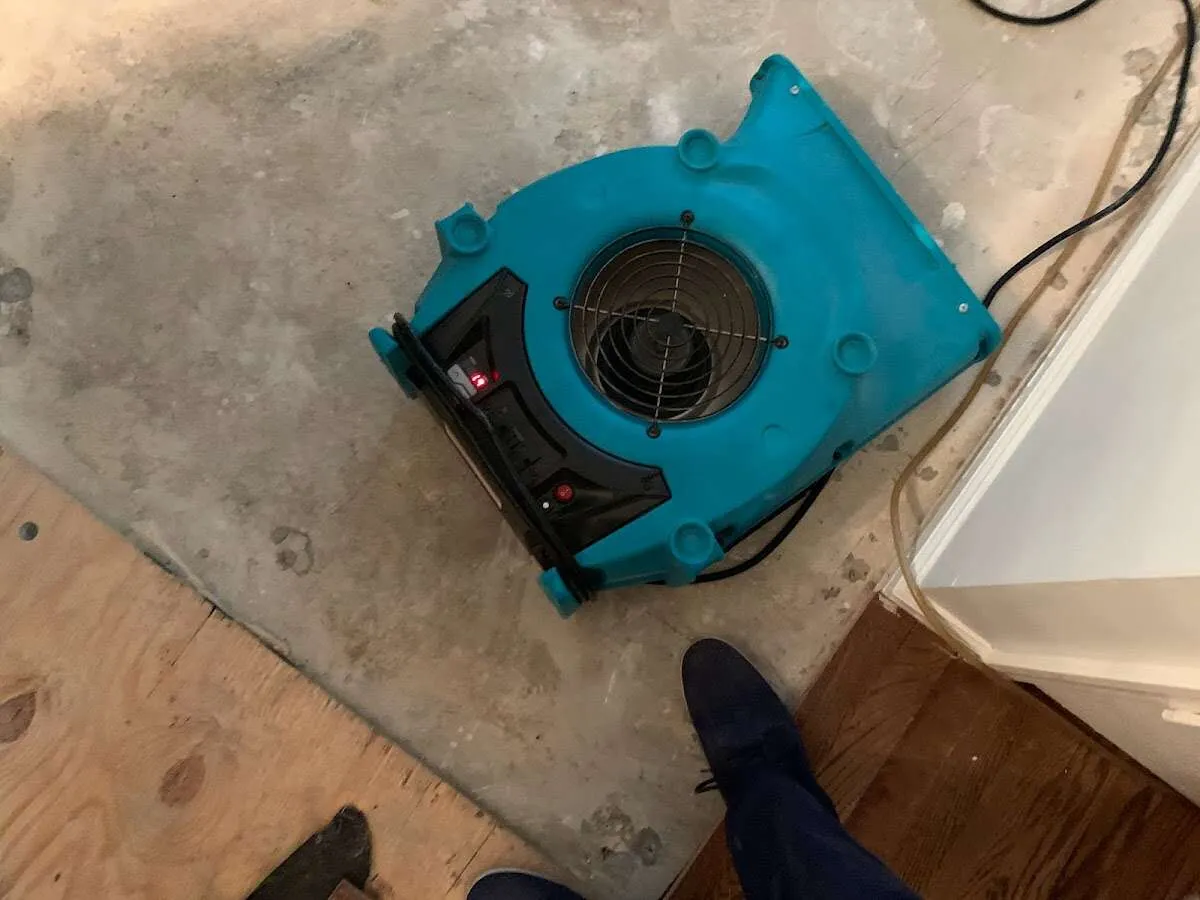 Air mover drying subfloor during Leak Detection & Repair in Williamsville